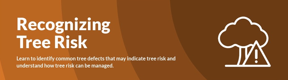 Risk