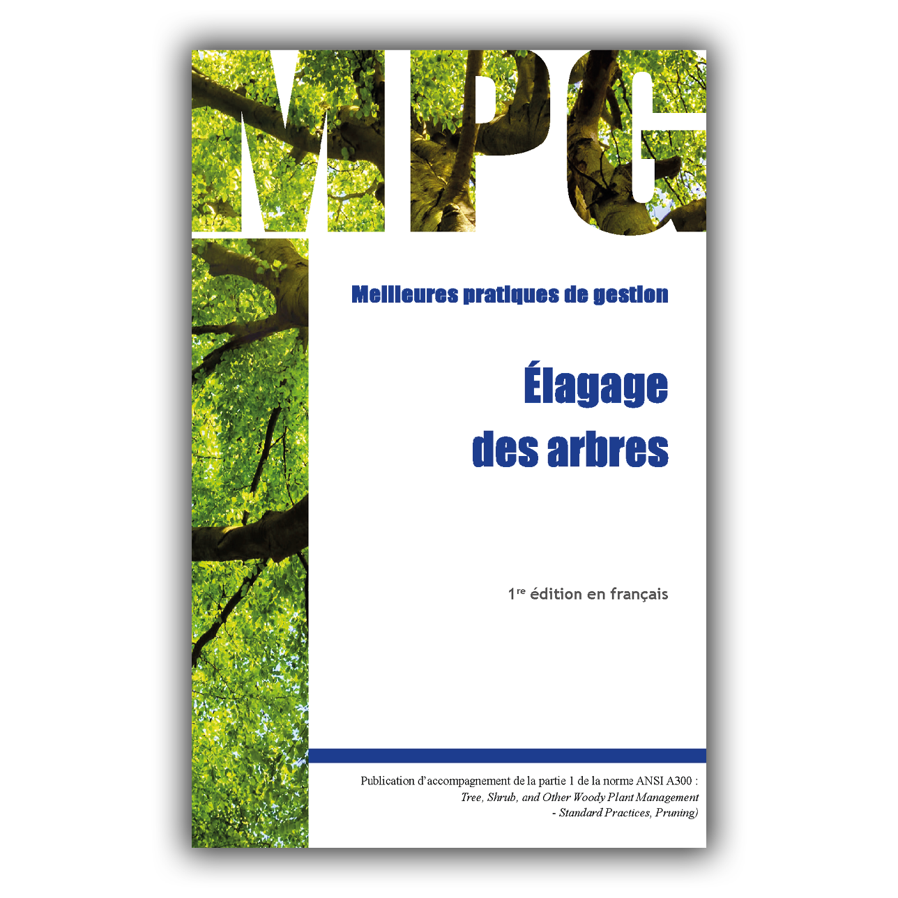 MPG - Élagage des arbres MPG - Élagage des arbres
