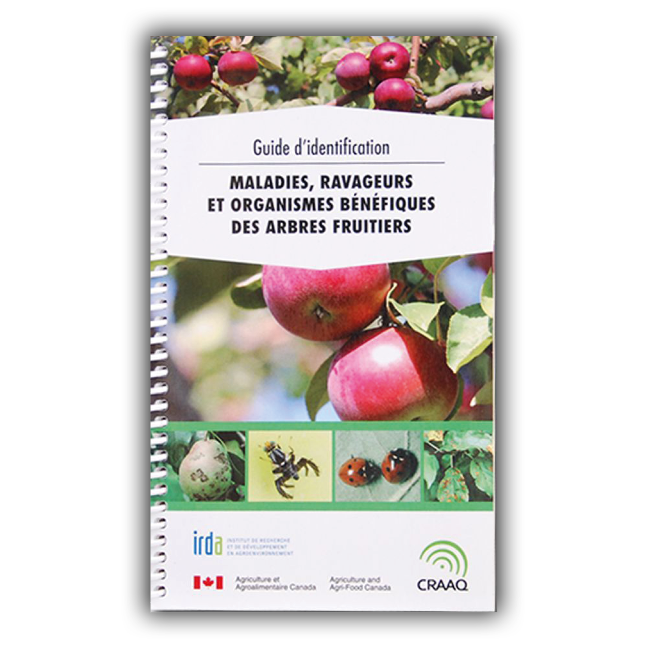 Maladies, ravageurs et organismes bénéfiques des arbres fruitiers Maladies, ravageurs et organismes bénéfiques des arbres fruitiers