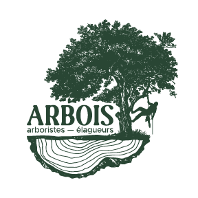 logo-arbre (1).png