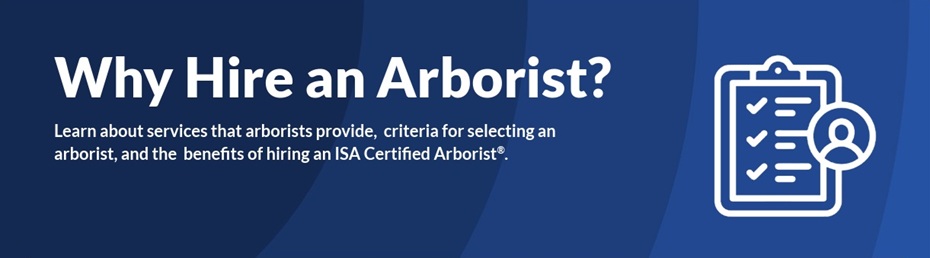 Hire Arborist