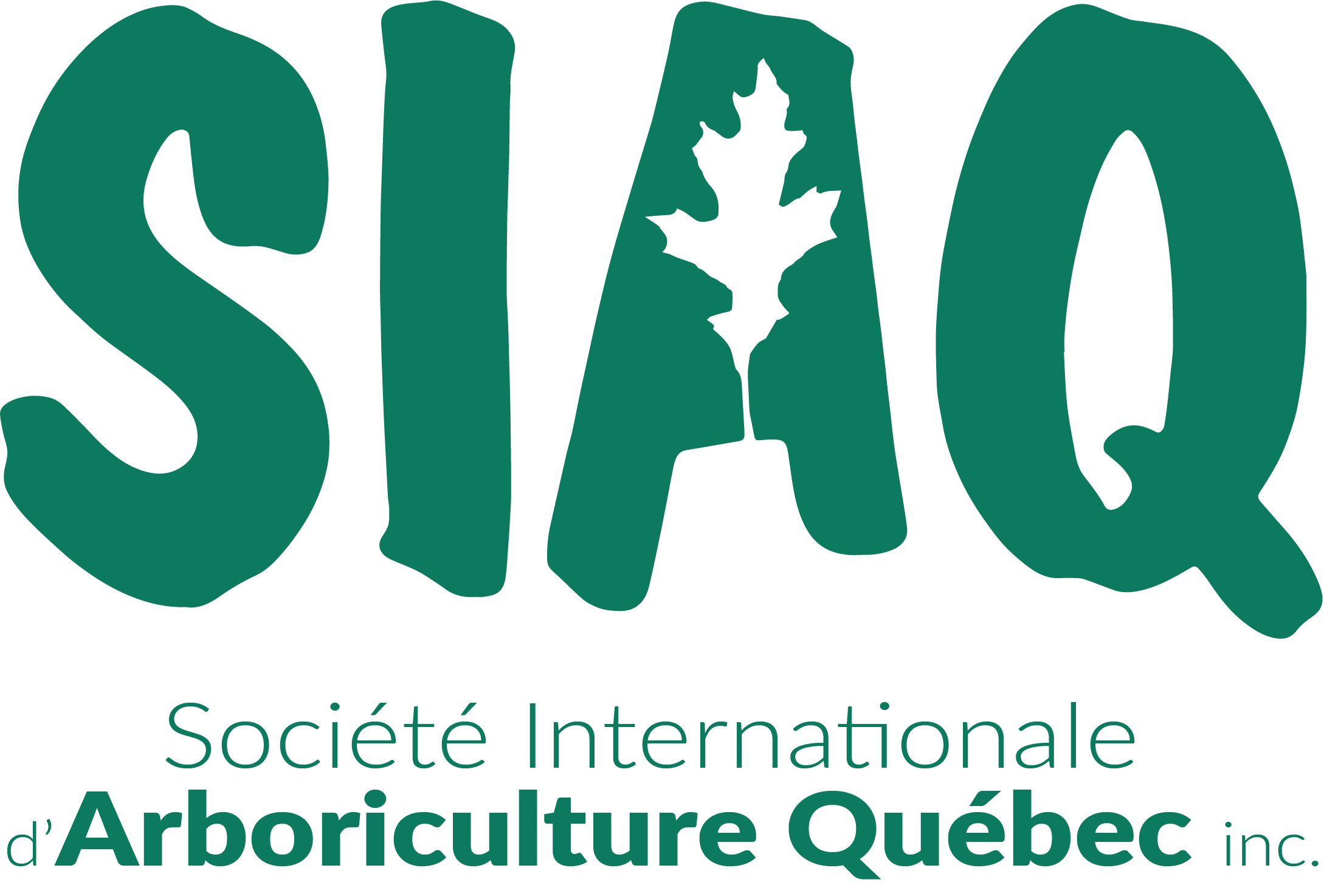 Actualité