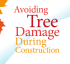 Avoidingtreedamageduringconstruction