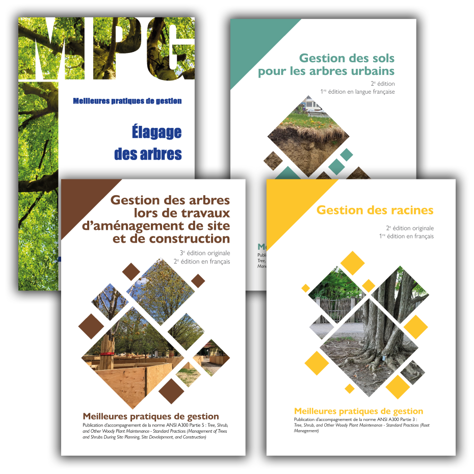 Meilleures pratiques de gestion - Série