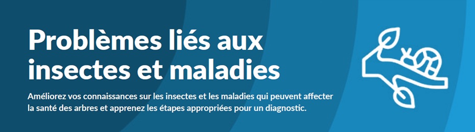 TAG Feuillet Problèmes D'insectes Et Maladies