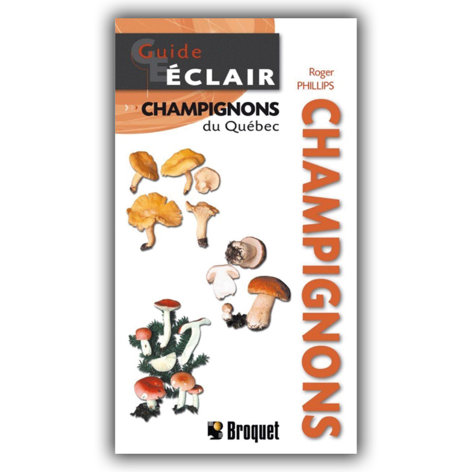 Guide éclair - Champignons du Québec
