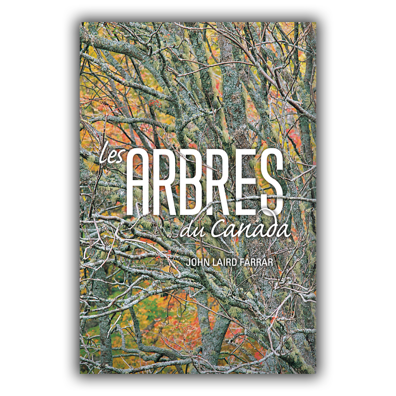 Arbres du Canada Arbres du Canada