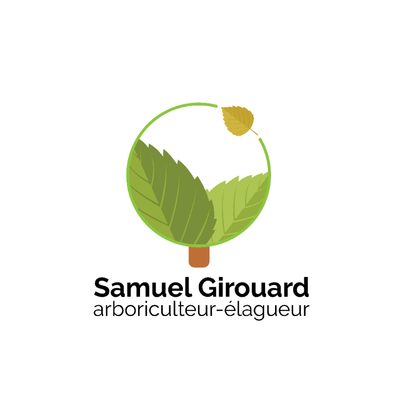 Samuel Girouard vertical nom_titre.png