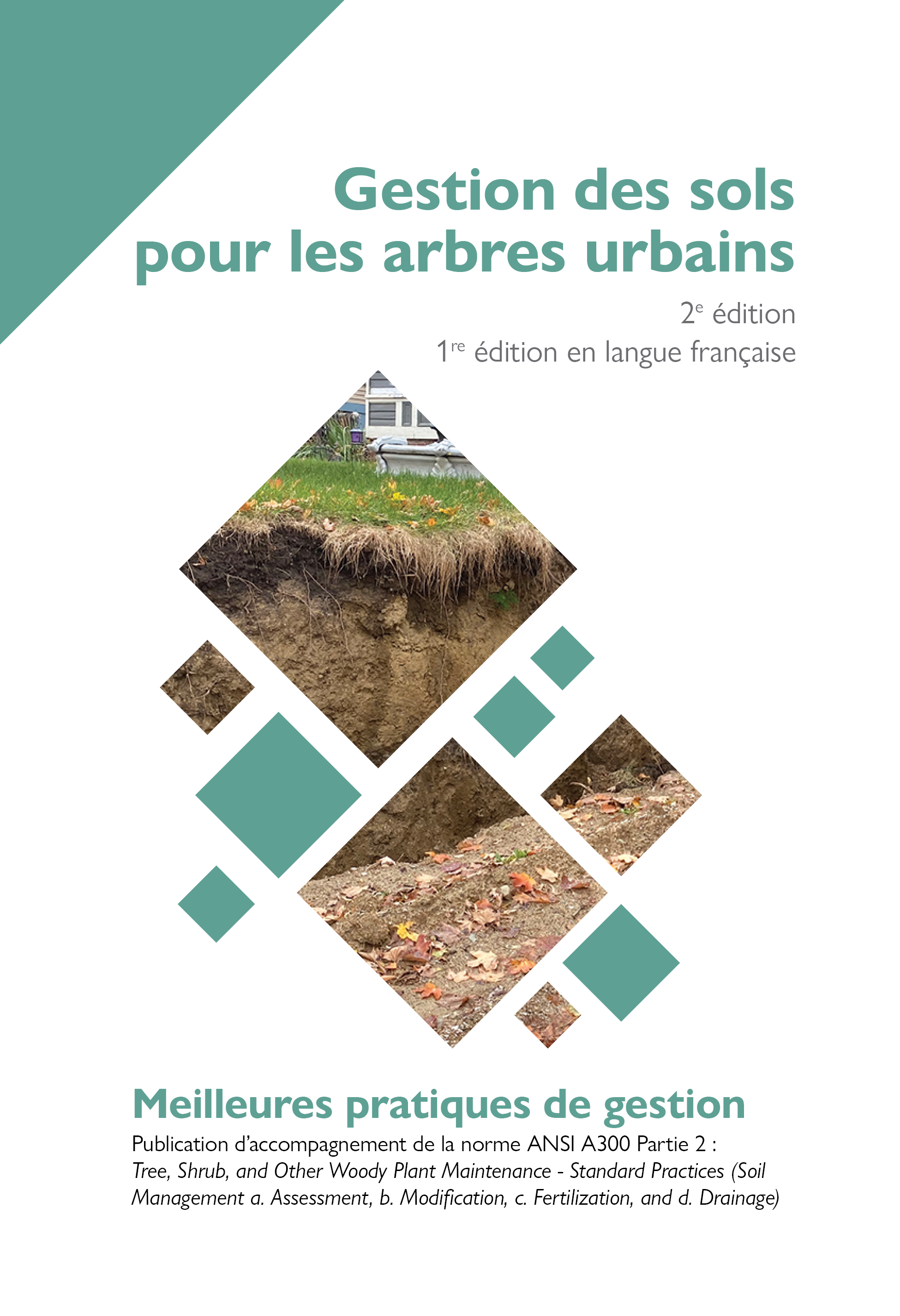 MPG Gestion des sols pour les arbres urbains