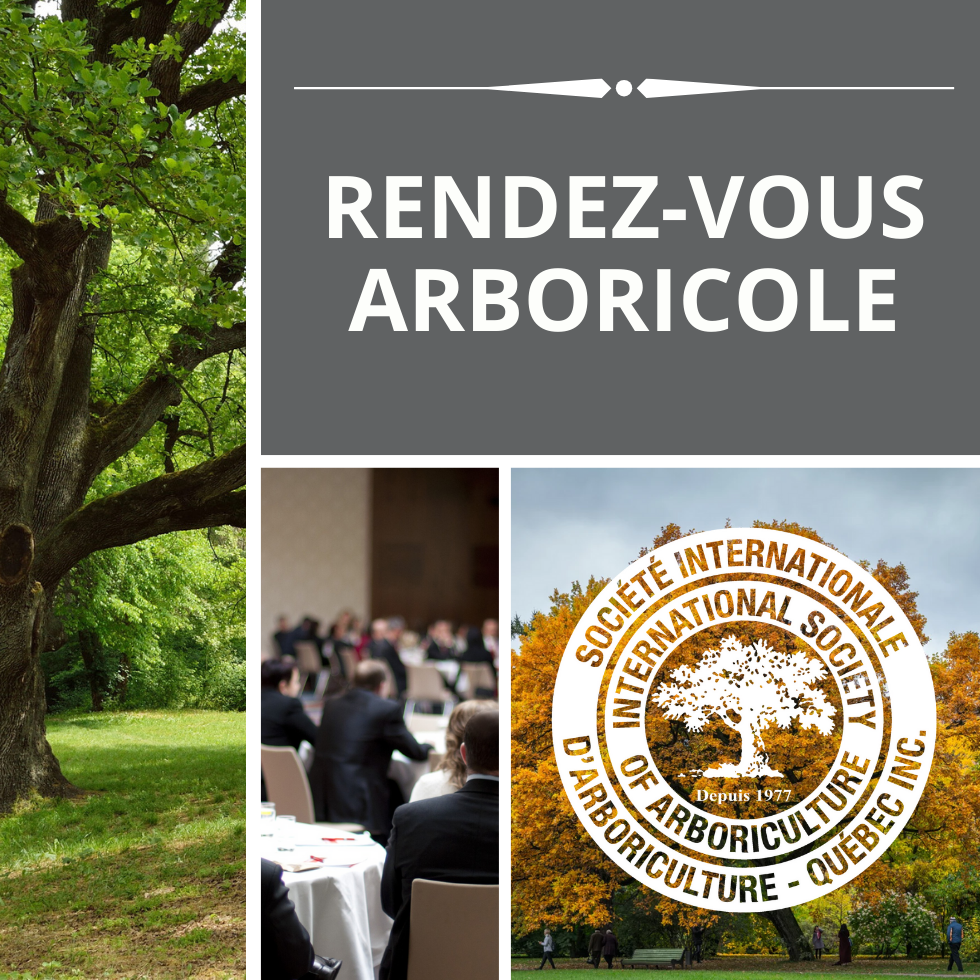 Rendez-vous arboricole de l'automne