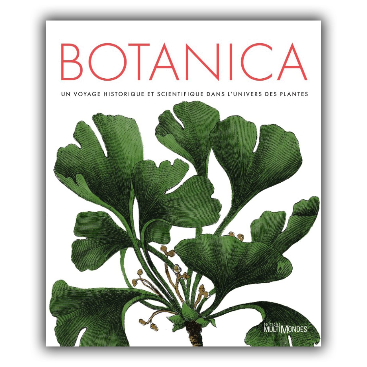 Botanica Botanica