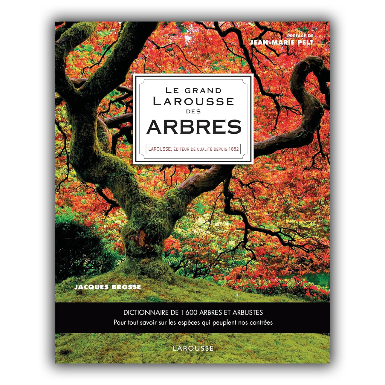 Grand Larousse des arbres Grand Larousse des arbres