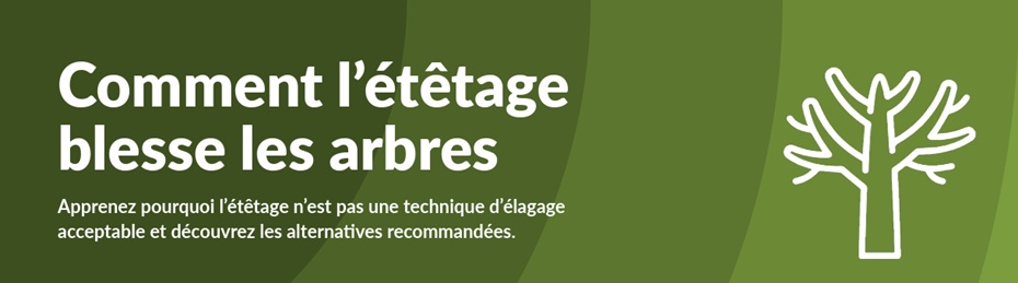 Etetage
