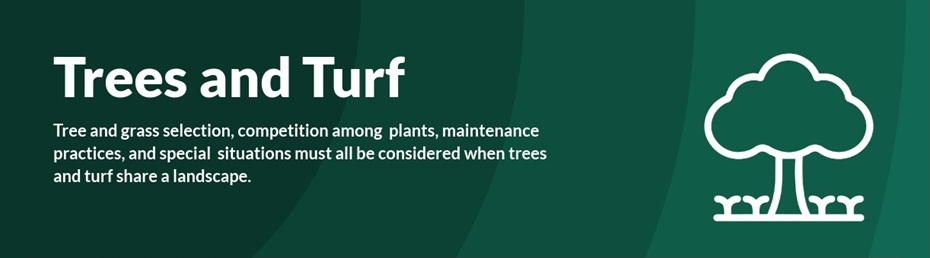 Trees And Turf