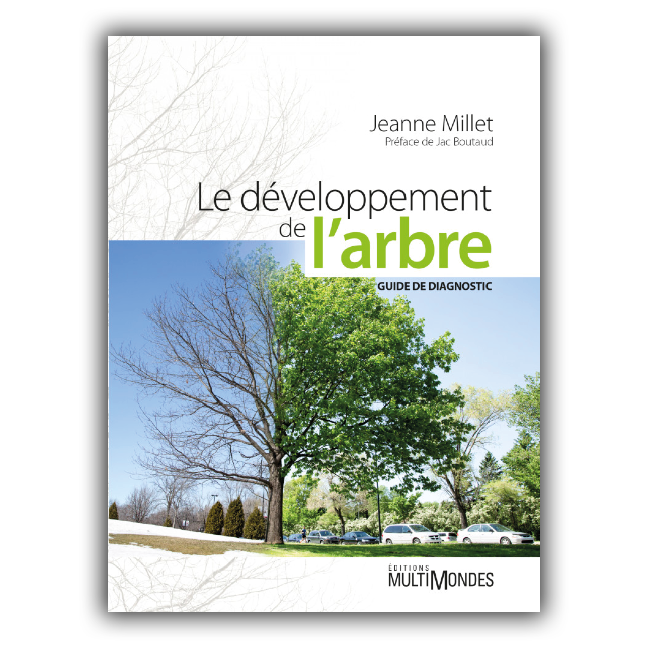 Développement de l'arbre (le)