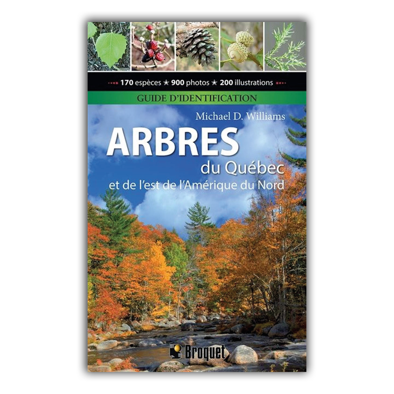 Arbres du Québec et de l'est de l'Amérique du Nord