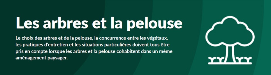 TAG Arbres Et Pelouse