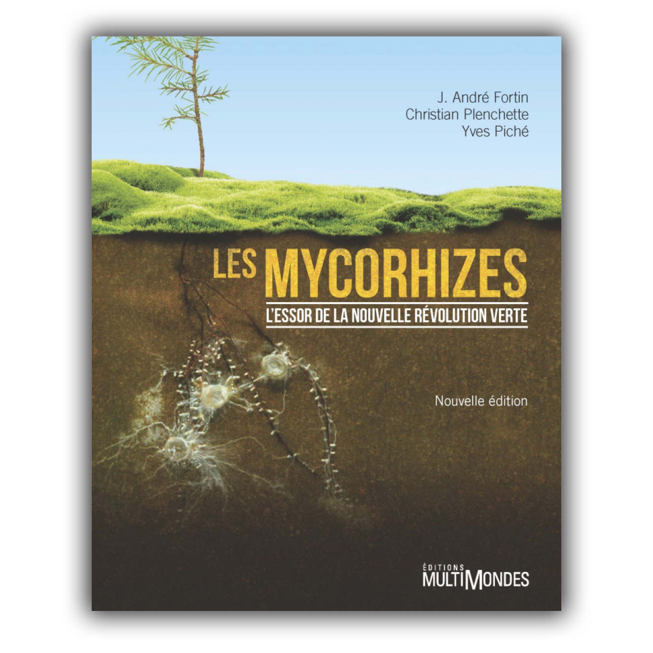 Mycorhizes (Les)