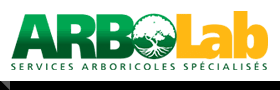 logo ARBOLAB.png logo ARBOLAB.png