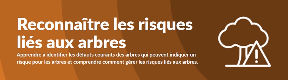 TAG Feuillet Reconnaître Les Arbres Dangereux