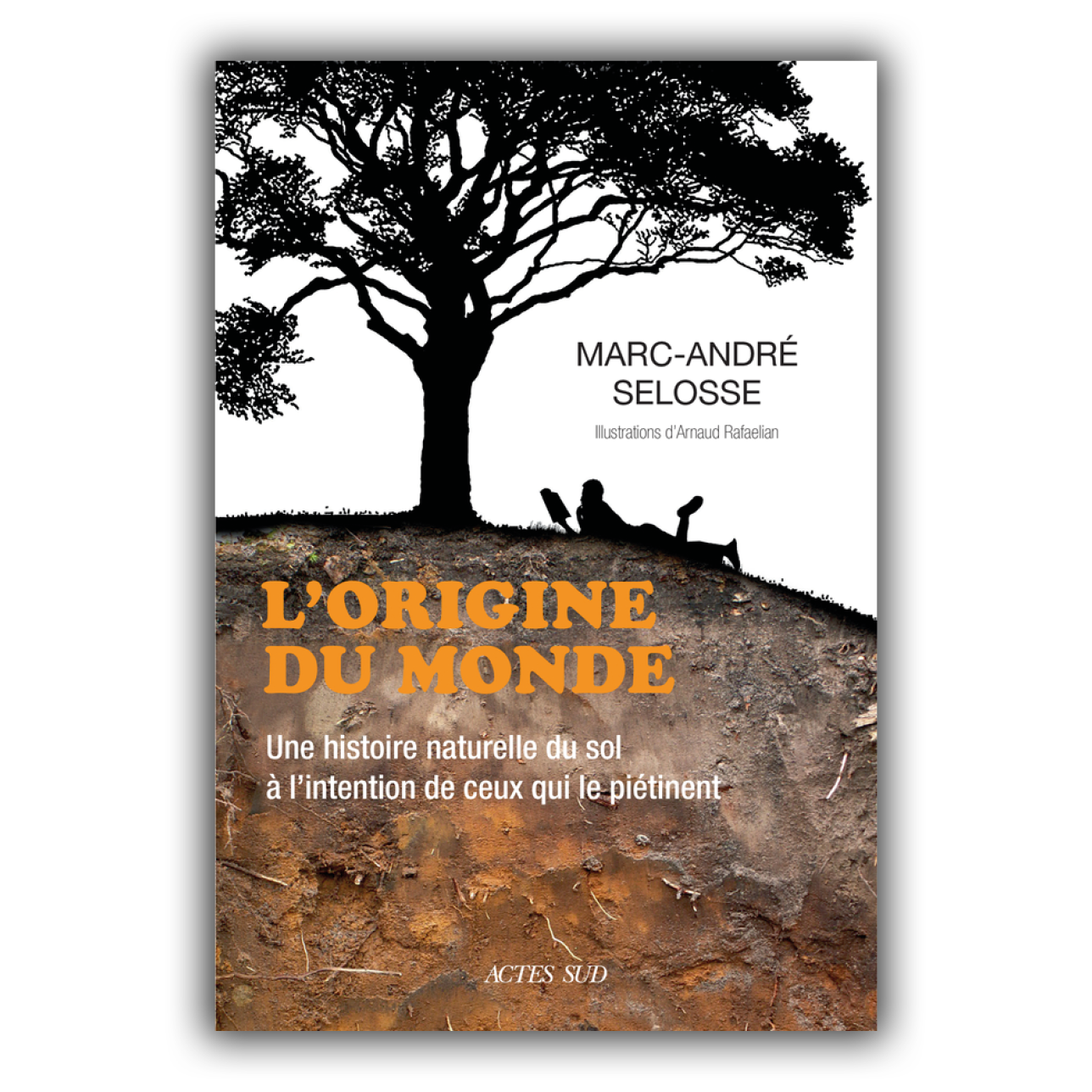 Origine du monde (L')