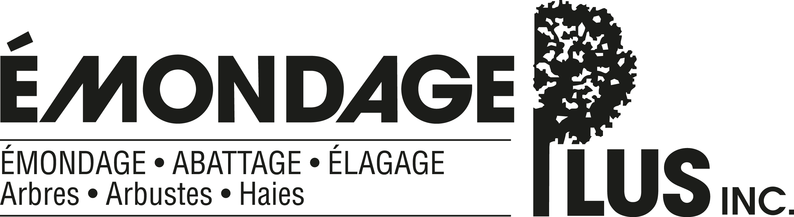 EmondagePlus_LogoNoir(1).png EmondagePlus_LogoNoir(1).png