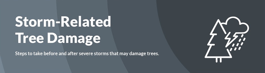 Storm Damage