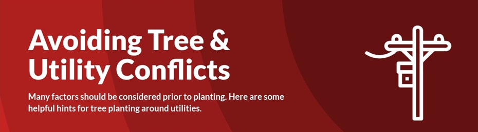 Utility Conflict