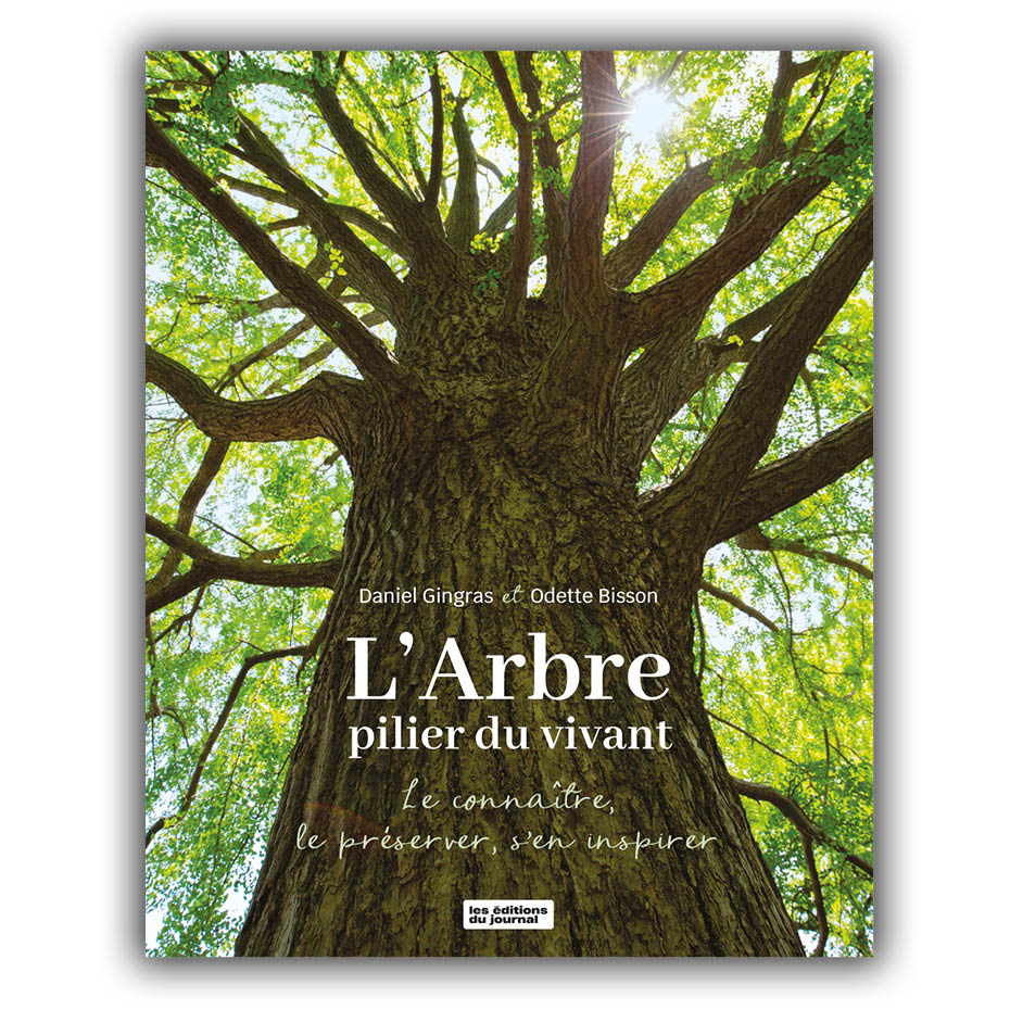 L'arbre pilier du vivant