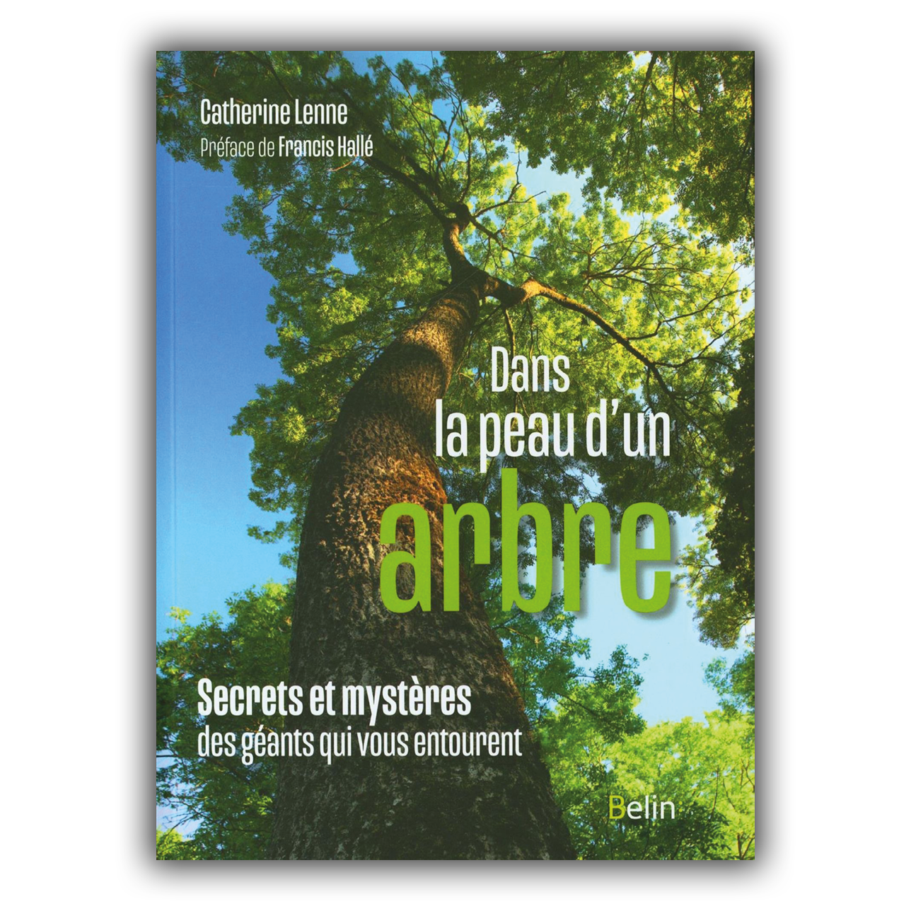 Dans la peau d'un arbre Dans la peau d'un arbre
