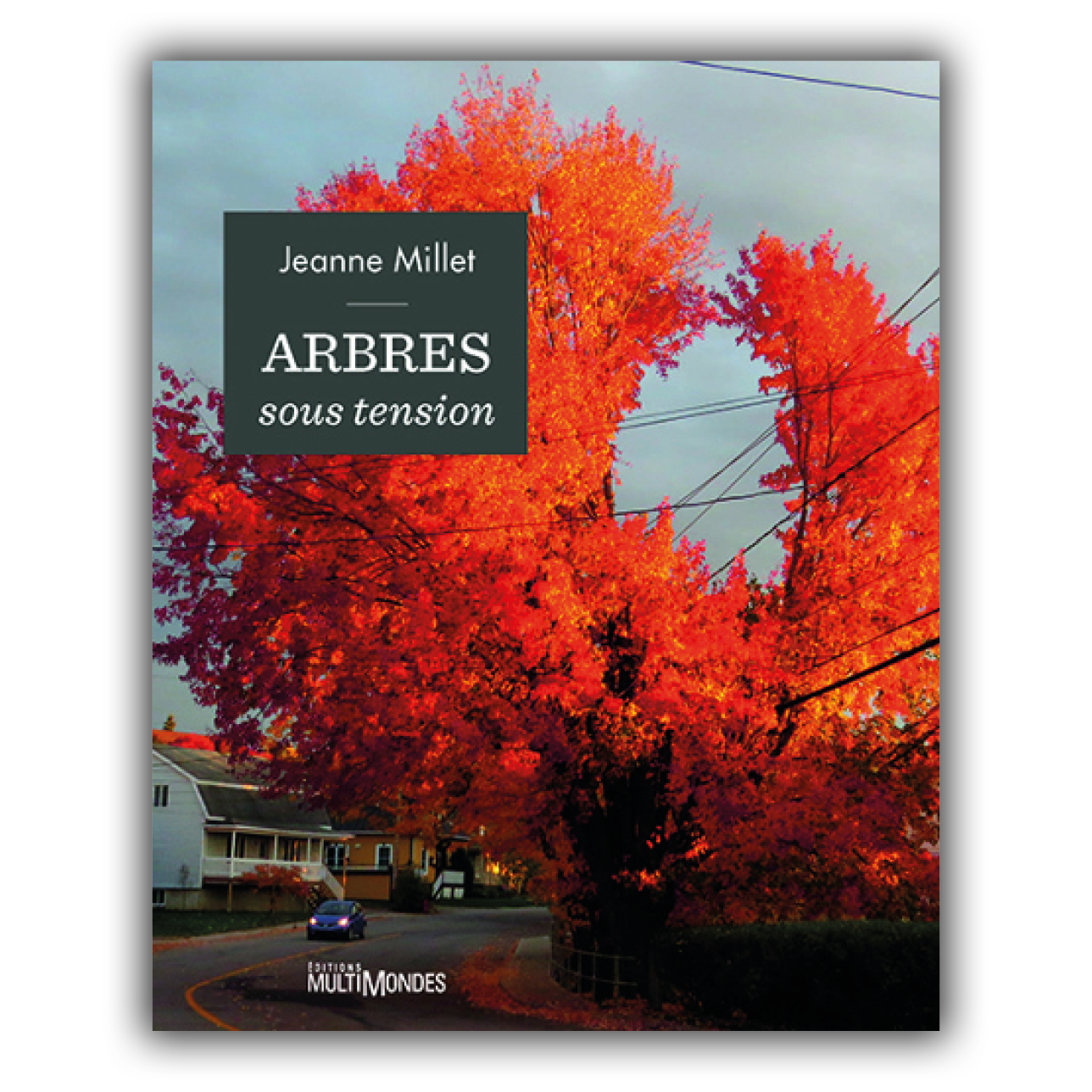 Arbres sous tension Arbres sous tension
