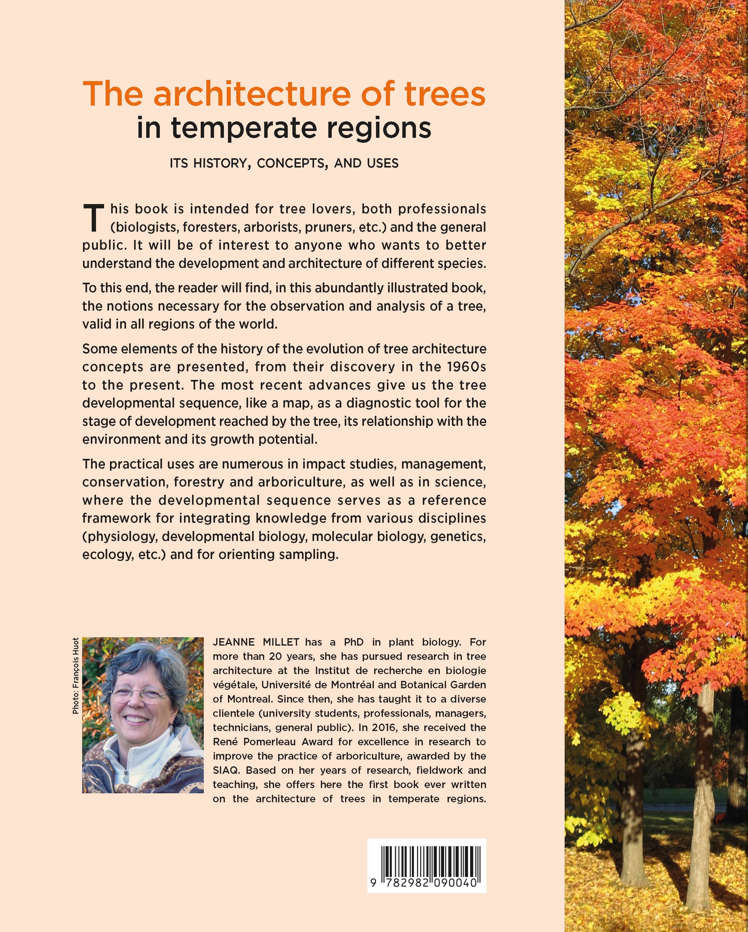 The architecture of trees in temperate regions The architecture of trees in temperate regions