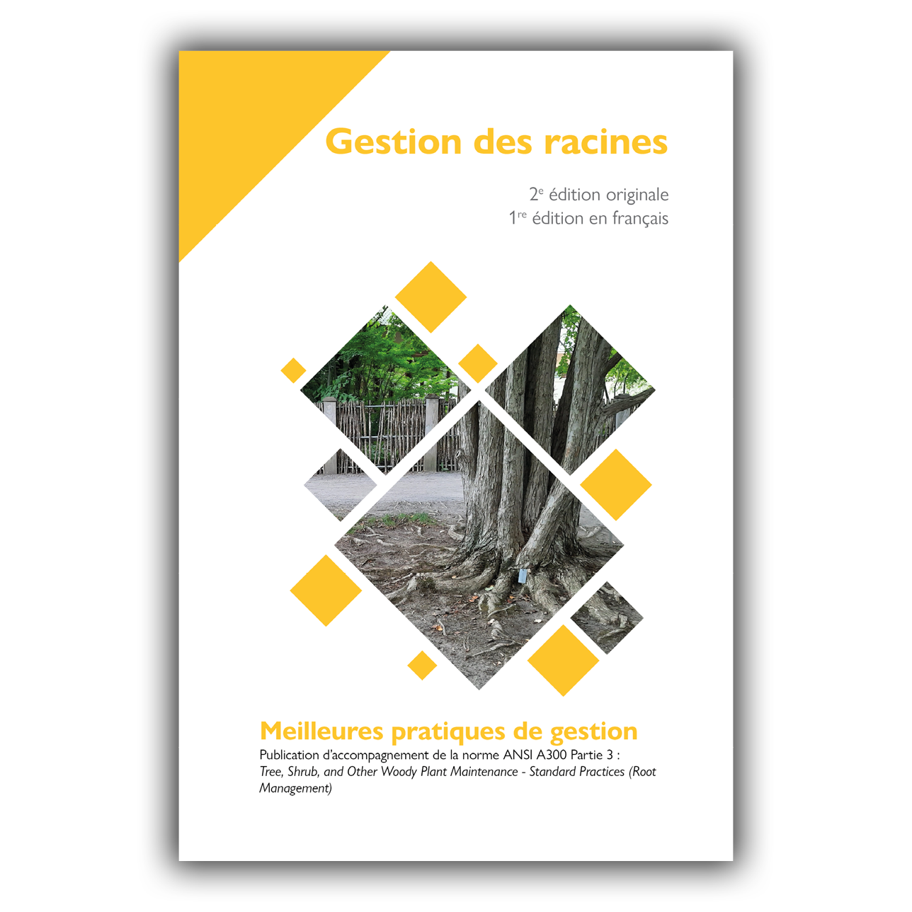 MPG - Gestion des racines