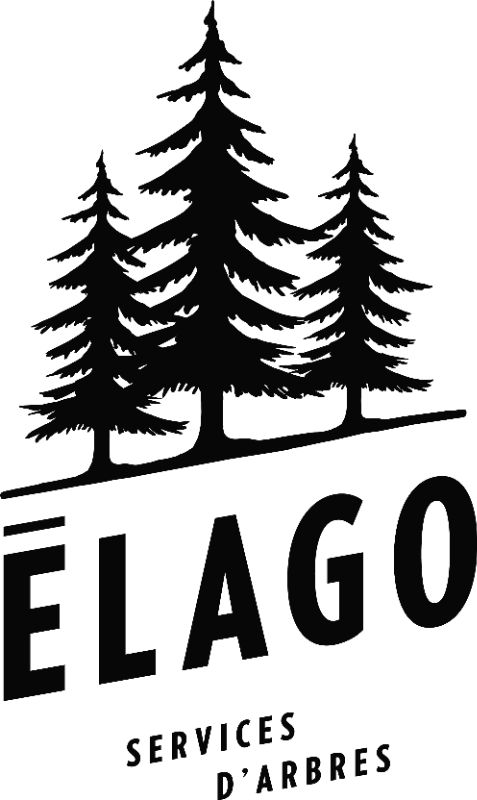 logo élago sans fond - NOIR (3).png logo élago sans fond - NOIR (3).png