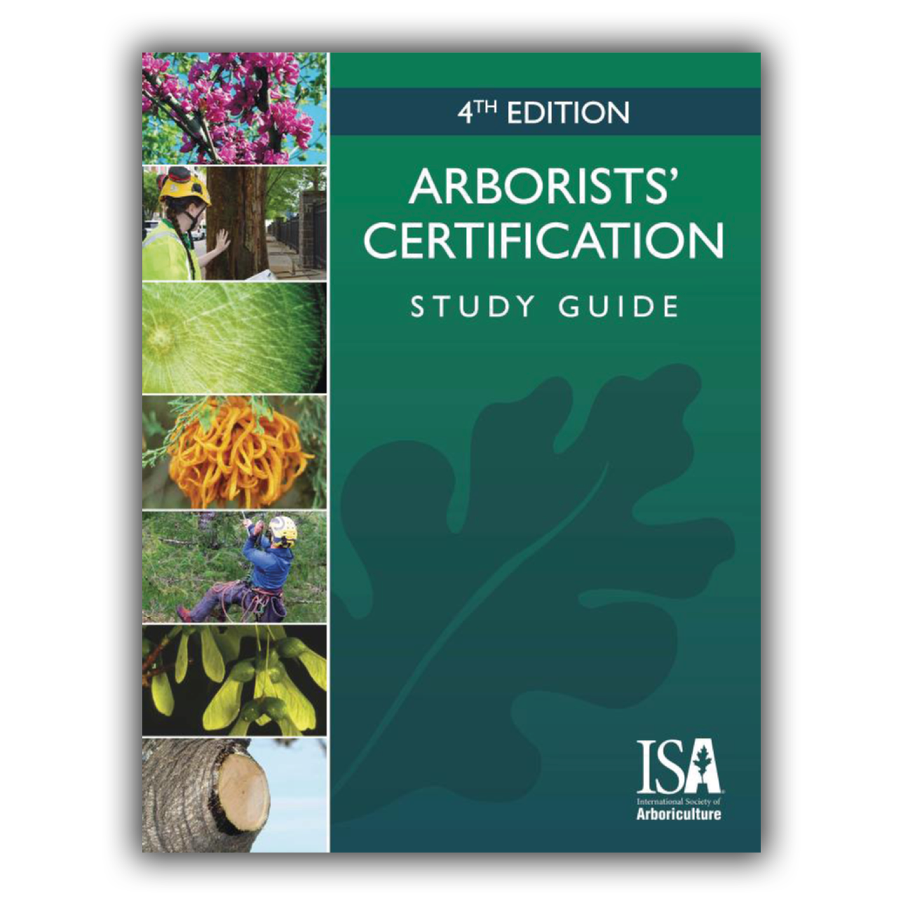 Arborists' Certification Study Guide Arborists' Certification Study Guide