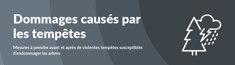 Tempetes