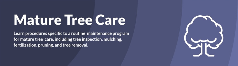 Mature Tree Care