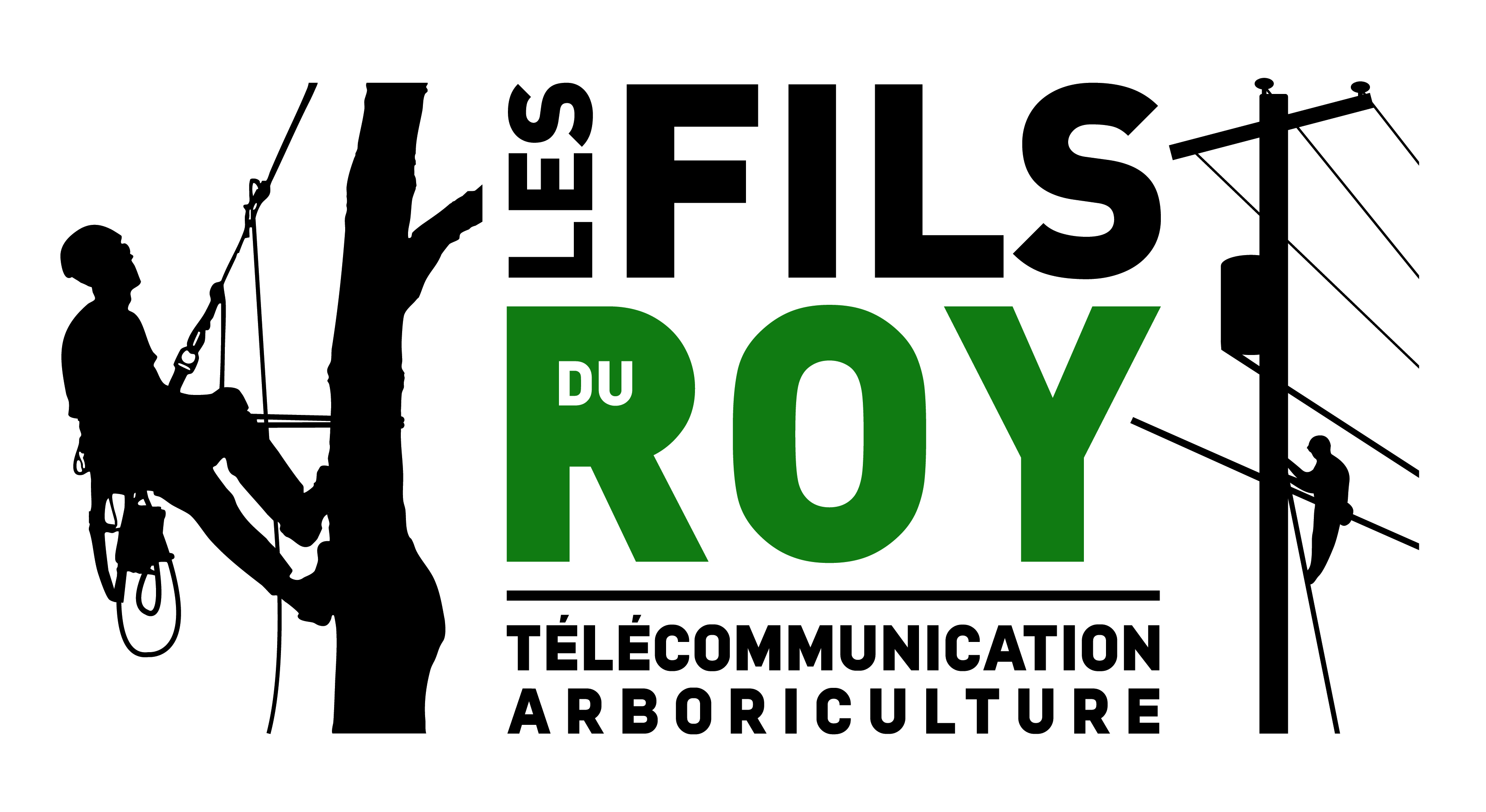 logo_2_fils_du_Roy.jpg