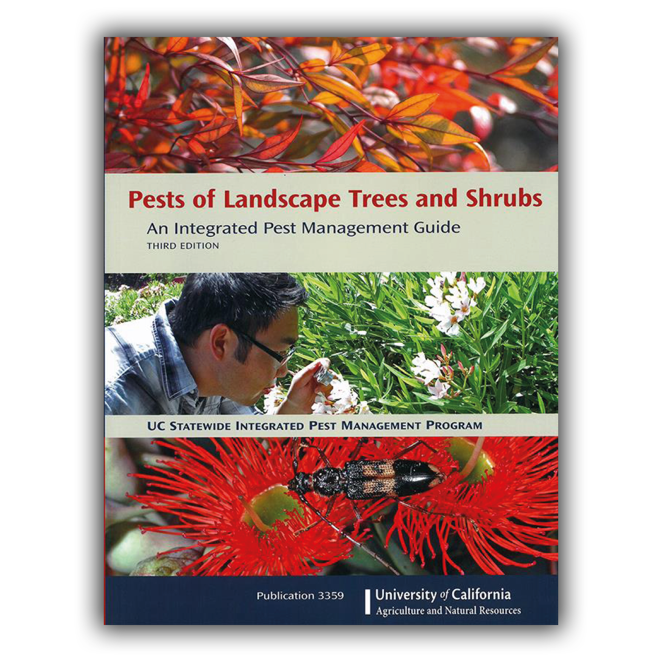 Pest of Landscape Trees and Shrubs