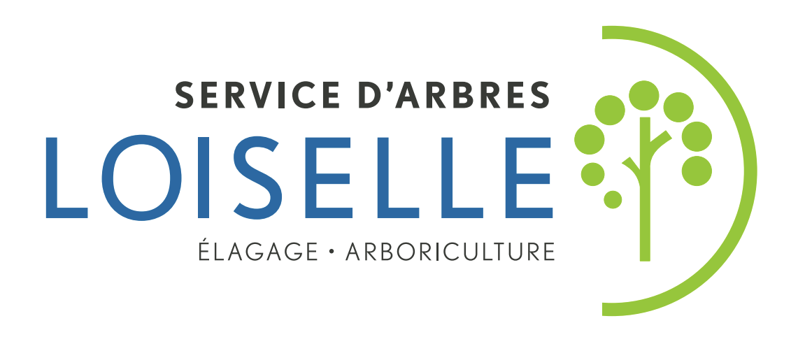 Logo Service d'arbres loiselle.png Logo Service d'arbres loiselle.png