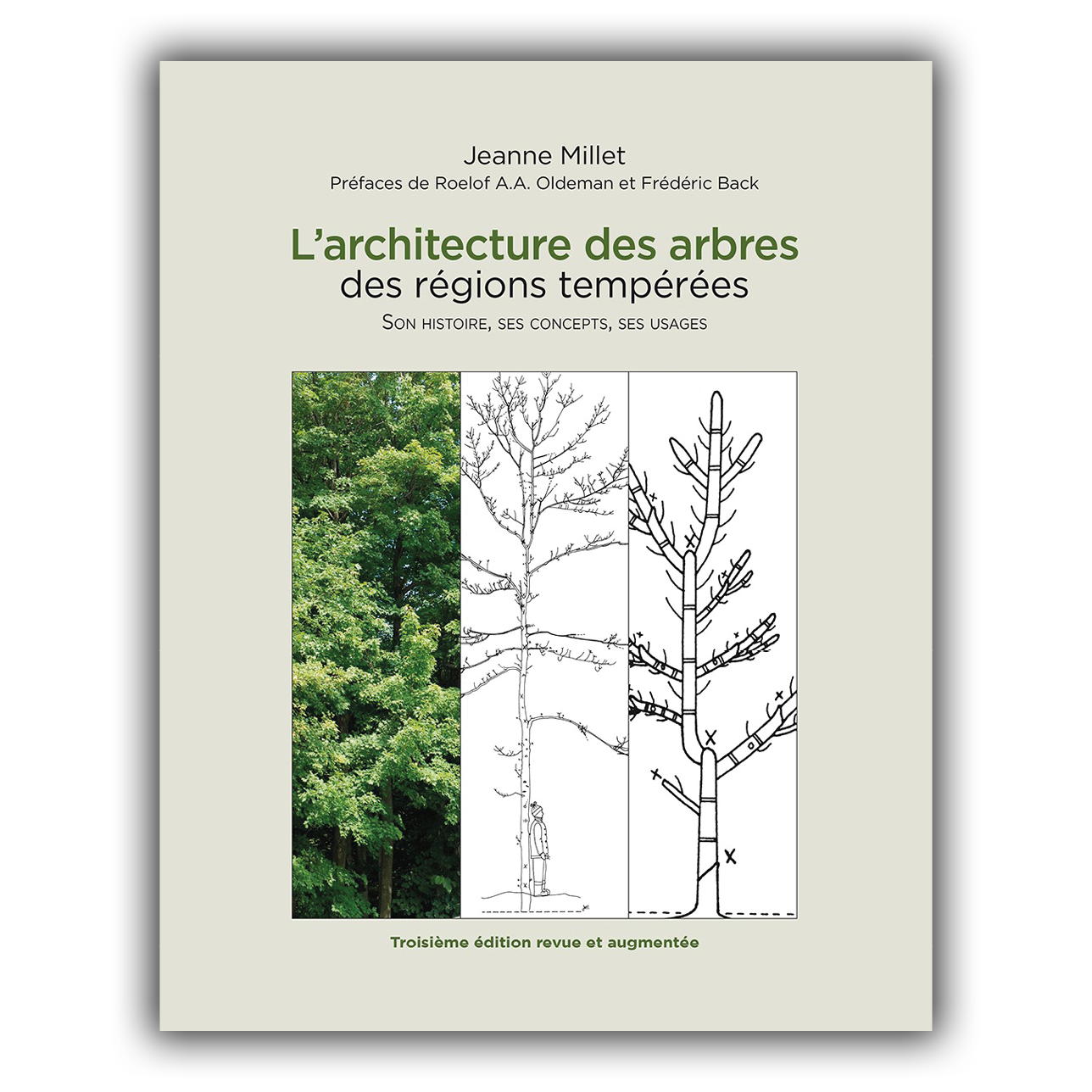 Architecture des arbres des régions tempérées 3e édition (L') Architecture des arbres des régions tempérées 3e édition (L')