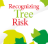 Recognizingtreerisk