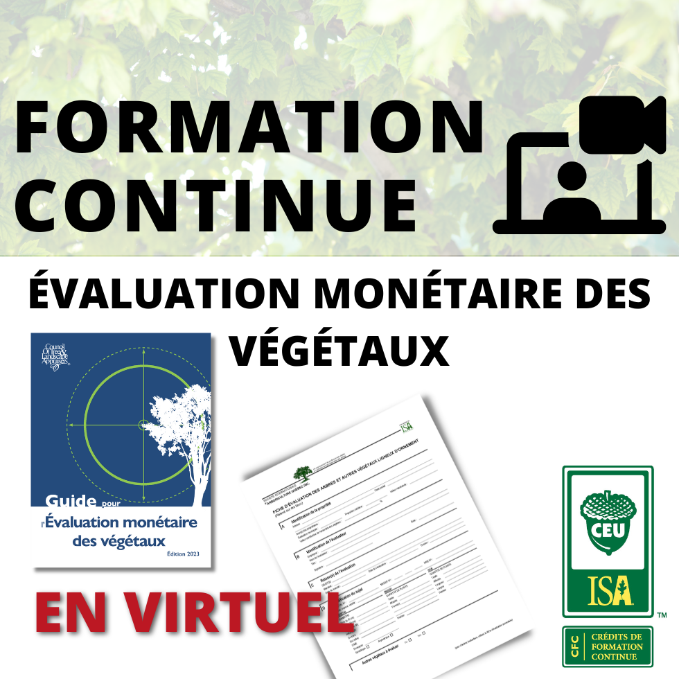 Formation sur l'évaluation monétaire des végétaux - Niveau 1 VIRTUEL