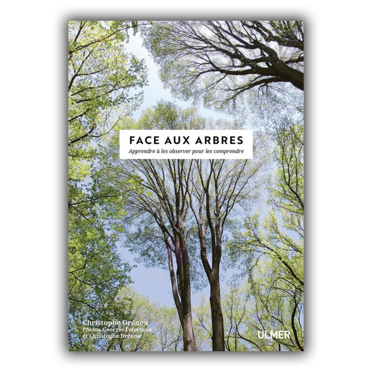 Face aux arbres