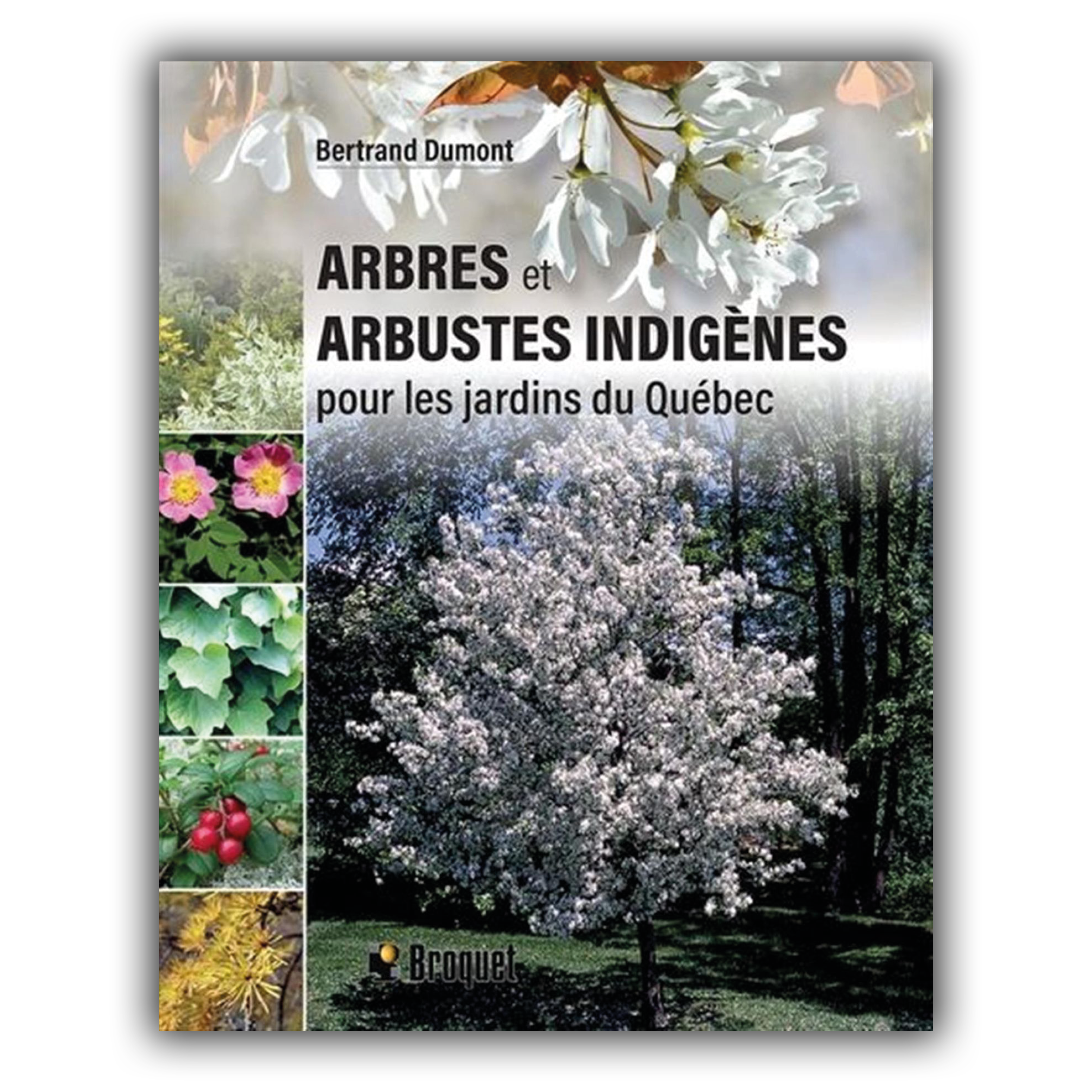 Arbres et Arbustes Indigènes pour les jardins du Québec Arbres et Arbustes Indigènes pour les jardins du Québec