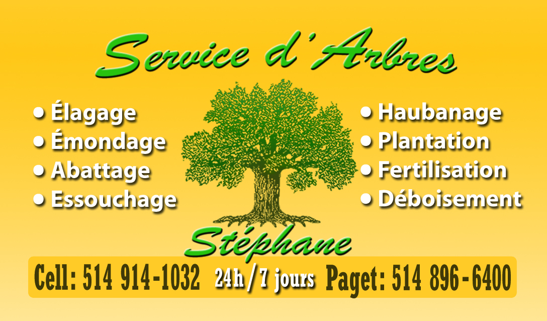 cartes_(Arbres)_visuel_14454_front_2000_MAT.jpg cartes_(Arbres)_visuel_14454_front_2000_MAT.jpg