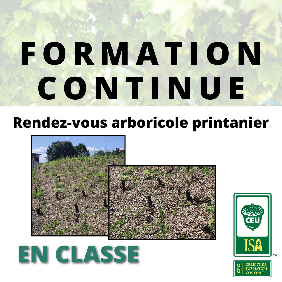 Rendez-vous arboricole printanier 2025