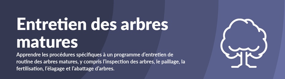 Entretien Mature