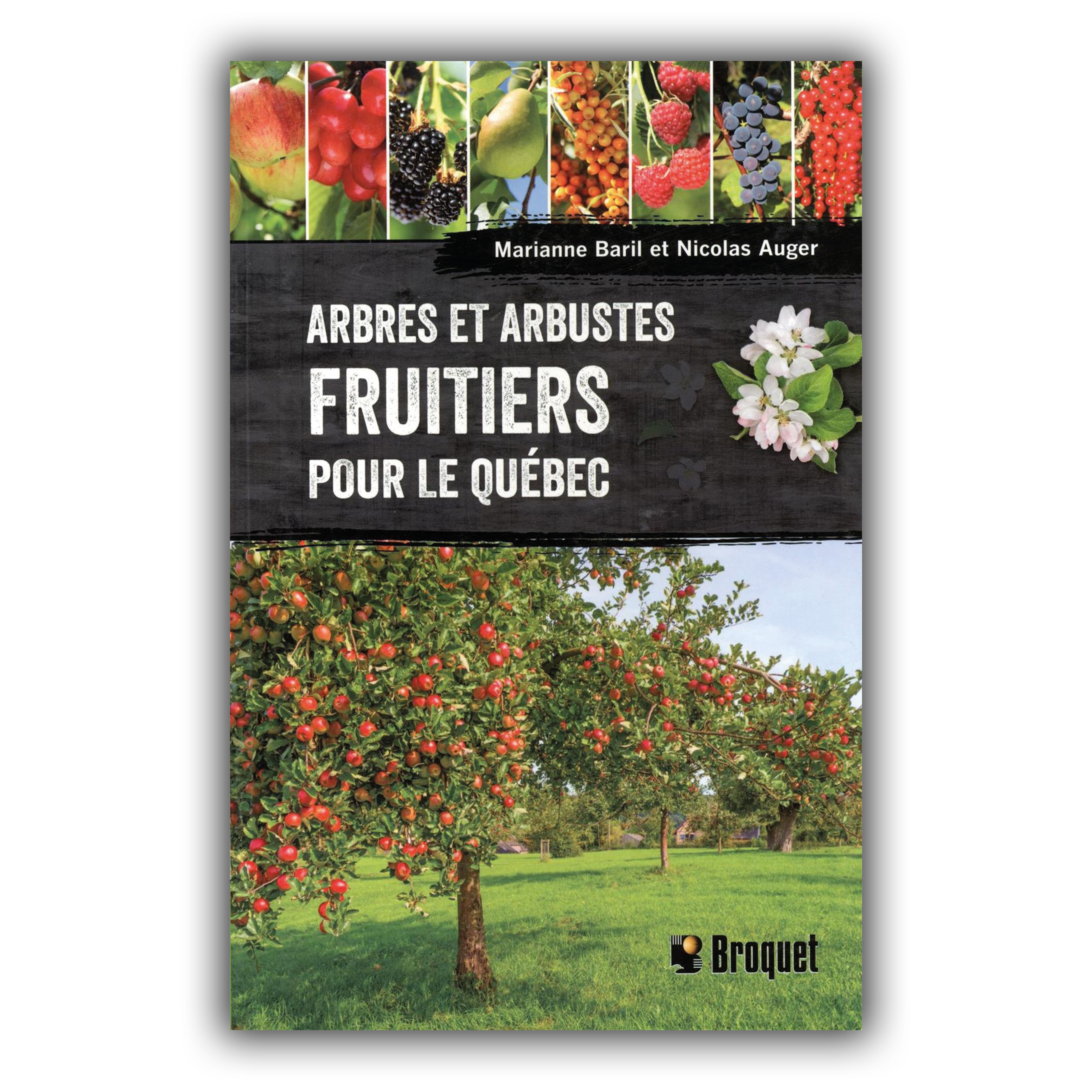 Arbres et arbustes fruitiers pour le Québec