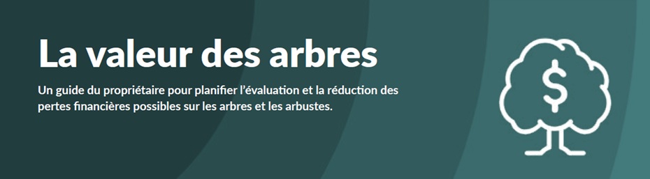 TAG Feuillet Valeur Des Arbres